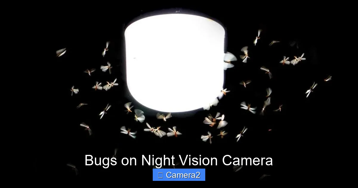 Bugs on Night Vision Camera
