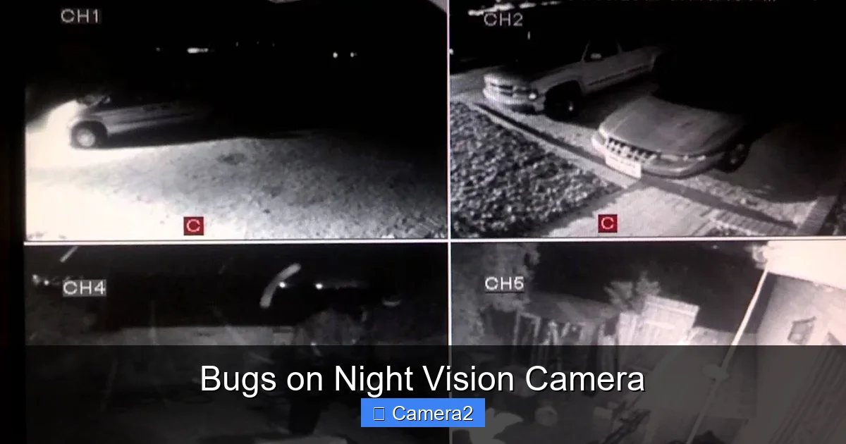 Bugs on Night Vision Camera