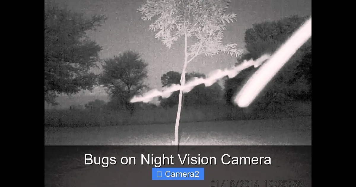 Bugs on Night Vision Camera