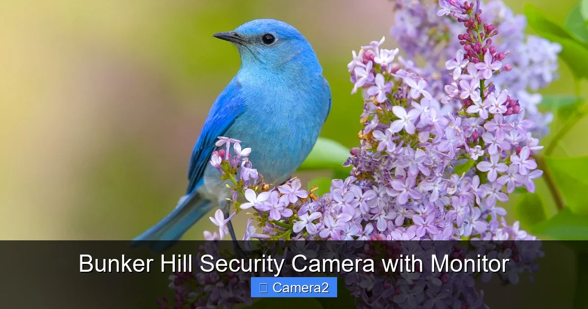 Bunker Hill Security Camera with Monitor
