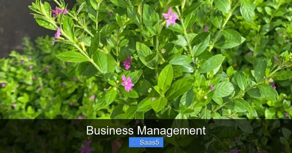 Business Management