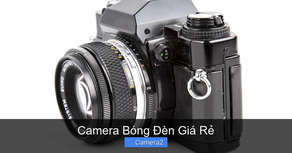 Camera Bóng Đèn Giá Rẻ