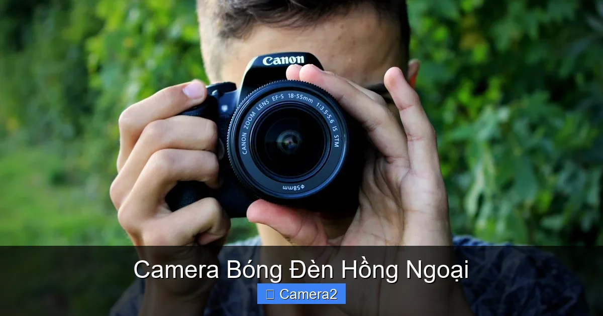 Camera Bóng Đèn Hồng Ngoại