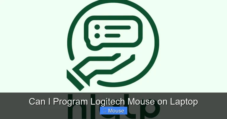 Can I Program Logitech Mouse on Laptop