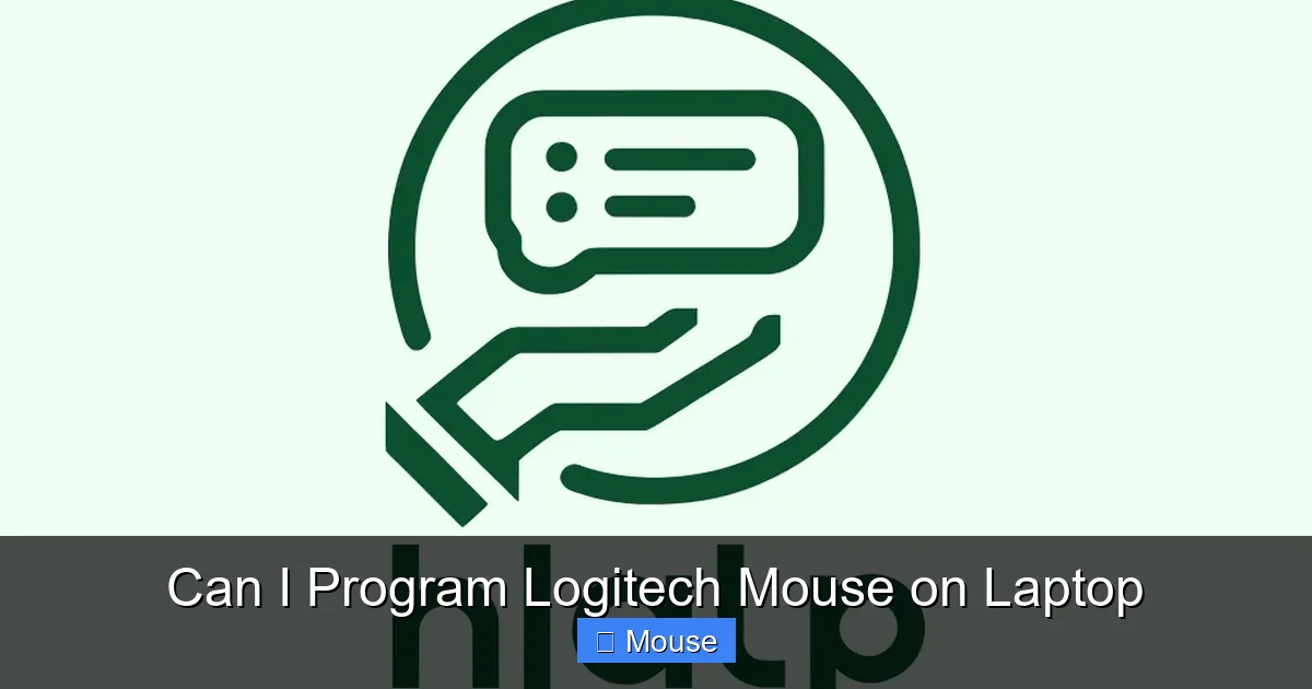 Can I Program Logitech Mouse on Laptop