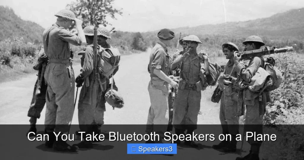Can You Take Bluetooth Speakers on a Plane