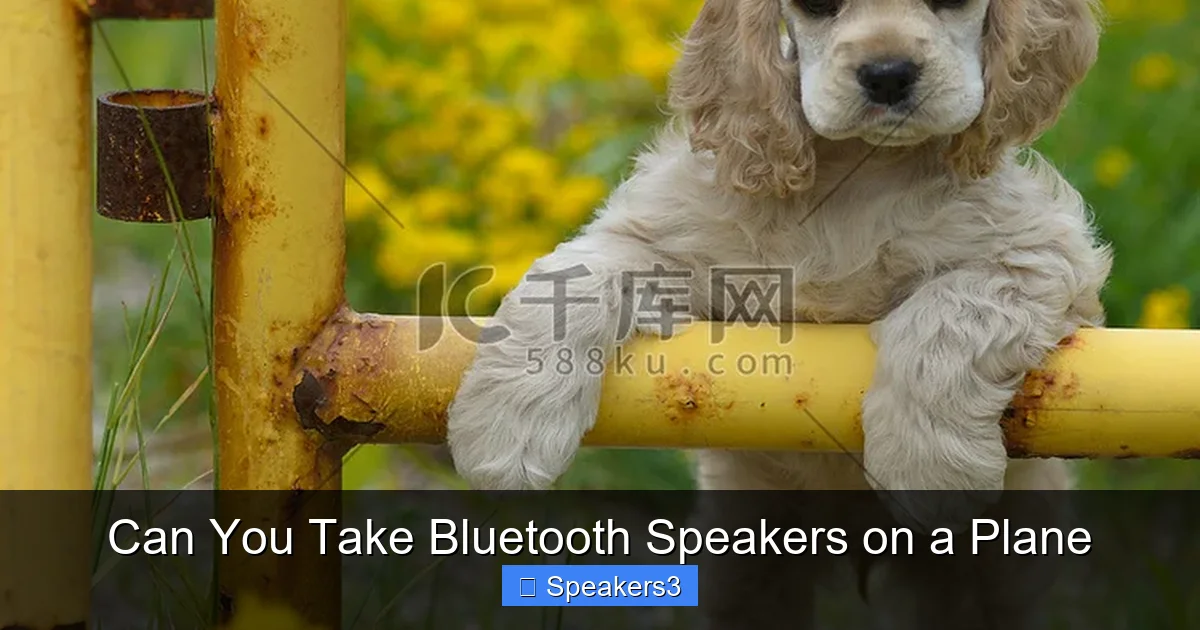 Can You Take Bluetooth Speakers on a Plane