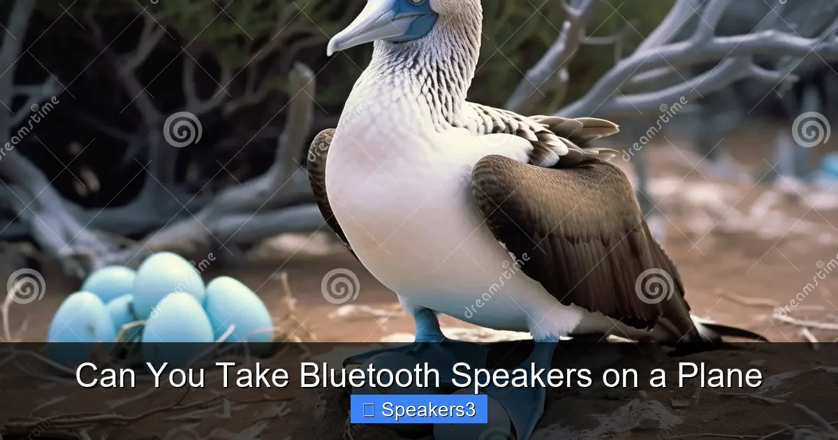 Can You Take Bluetooth Speakers on a Plane