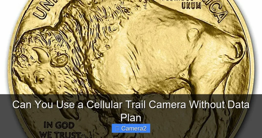 Can You Use a Cellular Trail Camera Without Data Plan