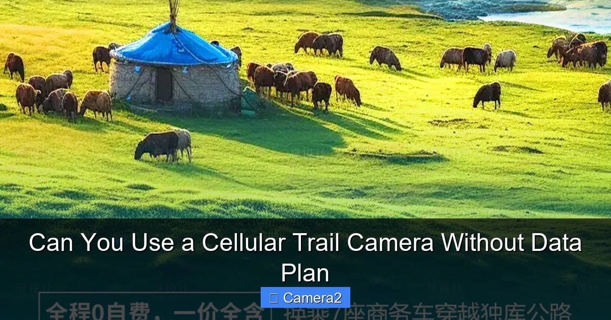 Can You Use a Cellular Trail Camera Without Data Plan