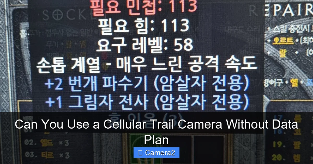 Can You Use a Cellular Trail Camera Without Data Plan