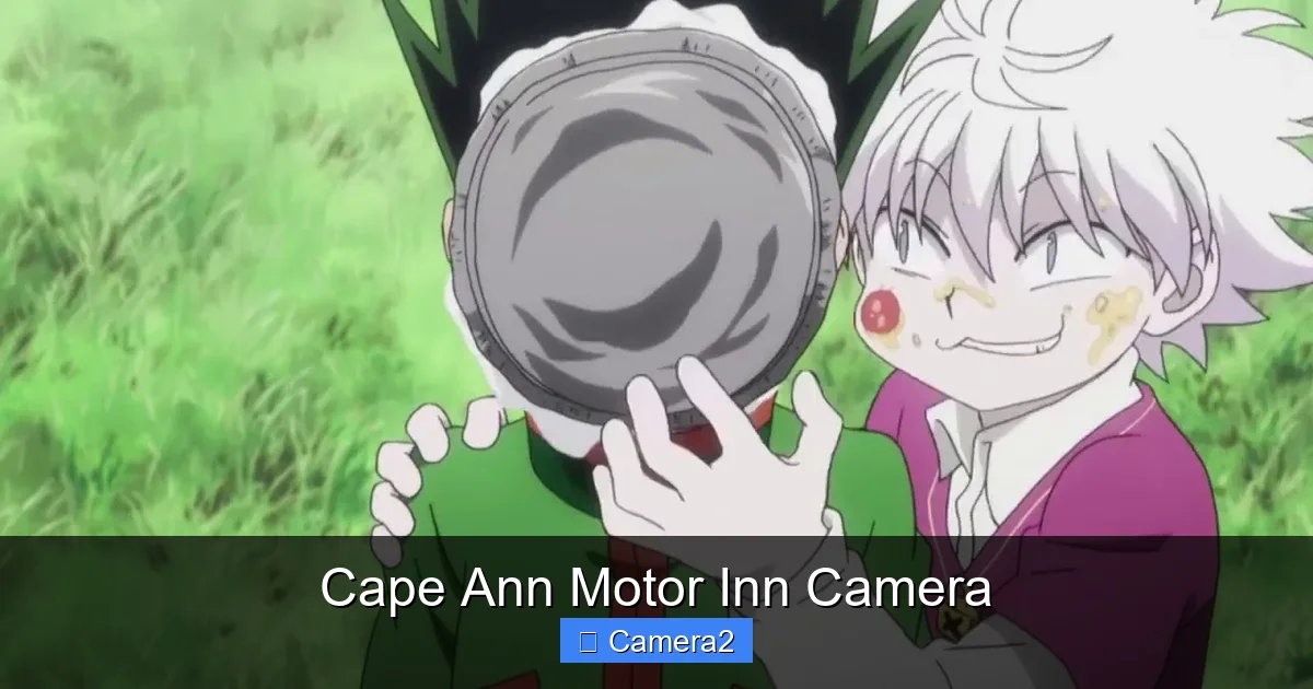 Cape Ann Motor Inn Camera