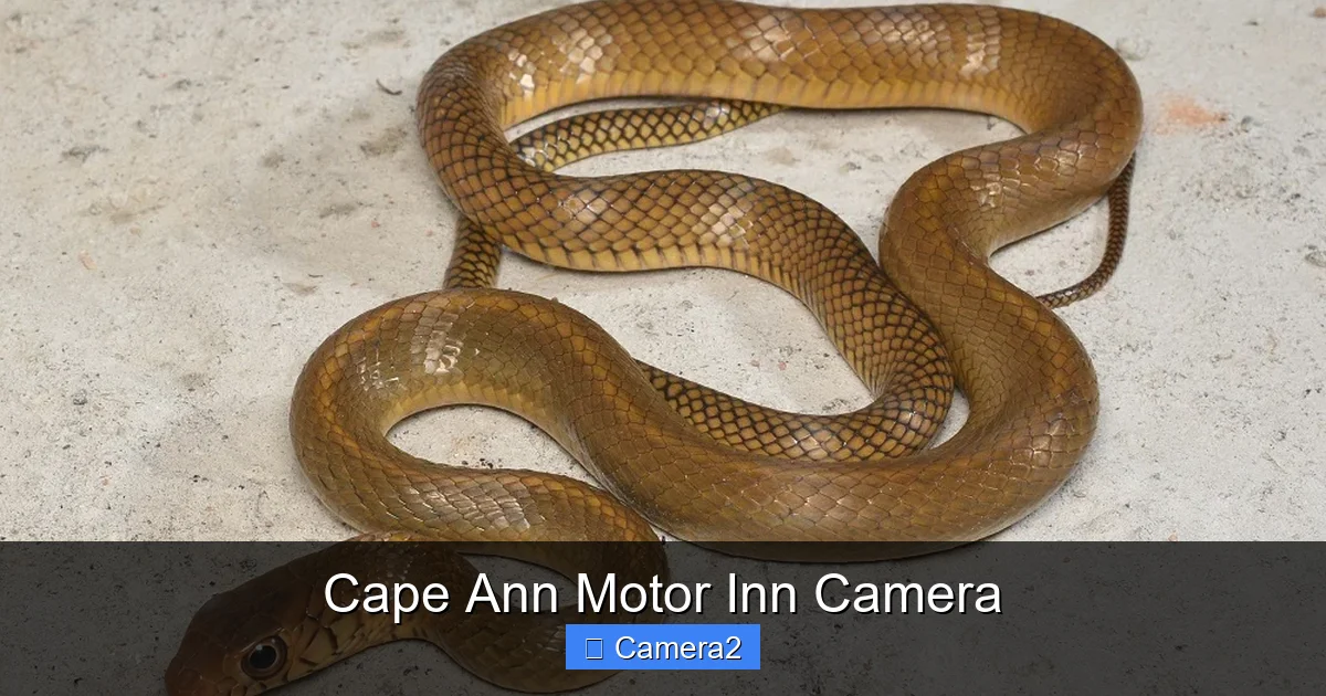 Cape Ann Motor Inn Camera