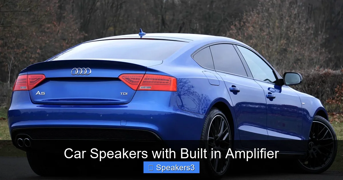 Car Speakers with Built in Amplifier