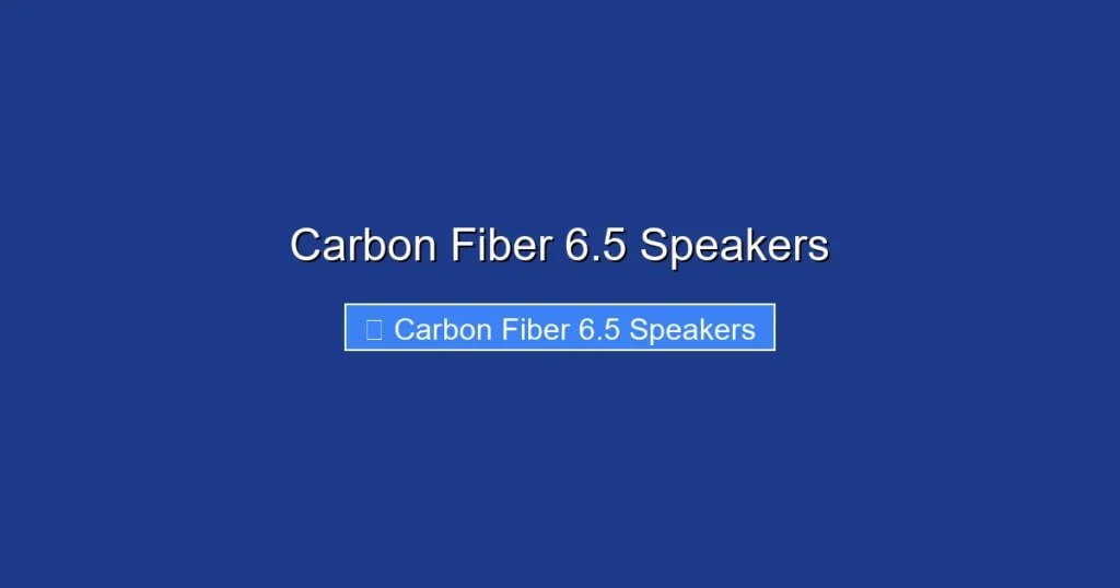 Carbon Fiber 6.5 Speakers