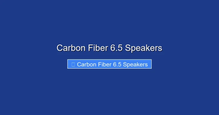 Carbon Fiber 6.5 Speakers