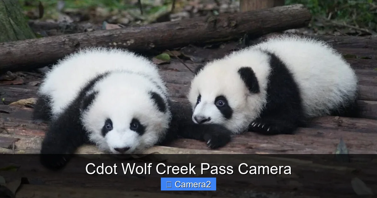 Cdot Wolf Creek Pass Camera