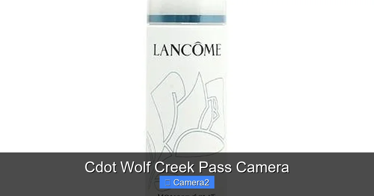 Cdot Wolf Creek Pass Camera