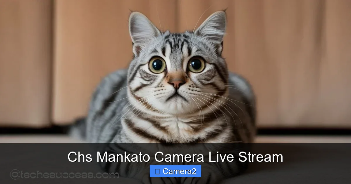 Chs Mankato Camera Live Stream
