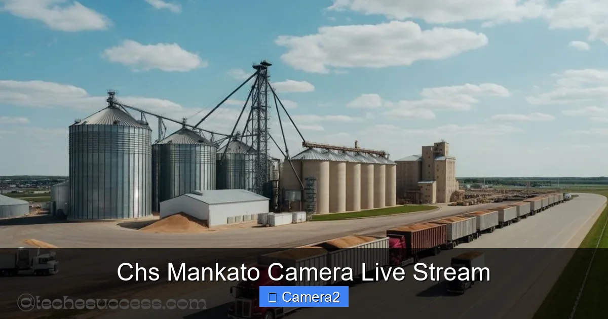 Chs Mankato Camera Live Stream