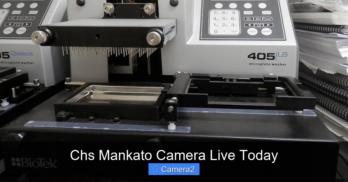 Chs Mankato Camera Live Today