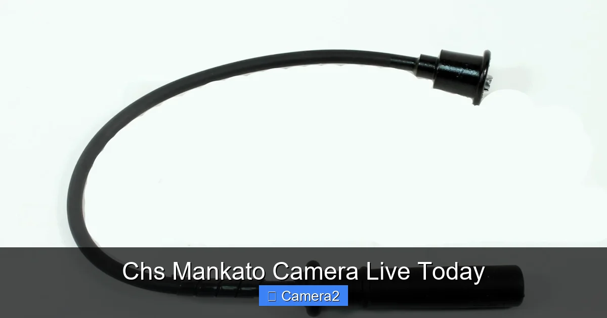 Chs Mankato Camera Live Today