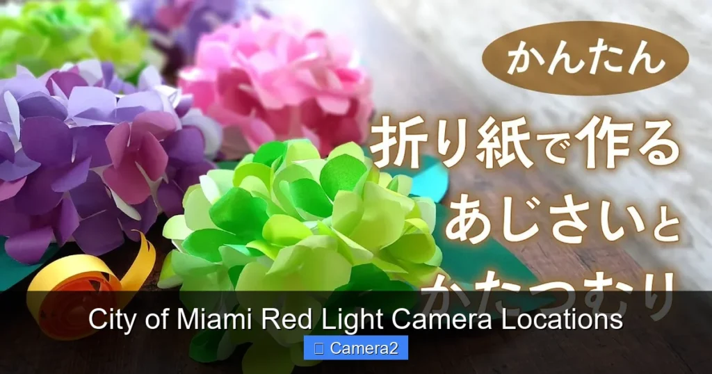 City of Miami Red Light Camera Locations