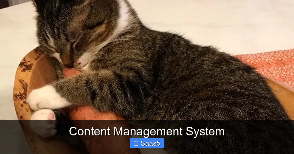Content Management System