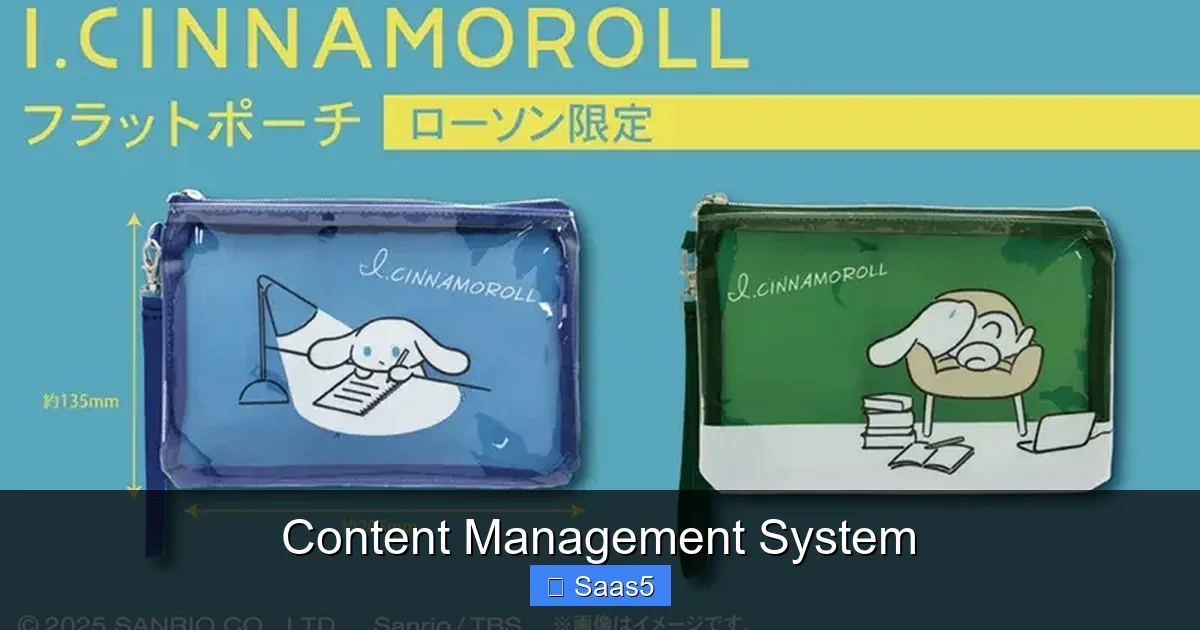 Content Management System