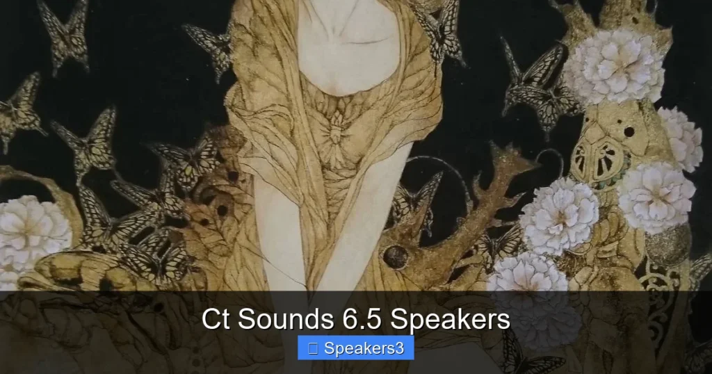 Ct Sounds 6.5 Speakers