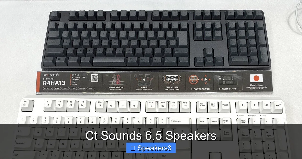 Ct Sounds 6.5 Speakers