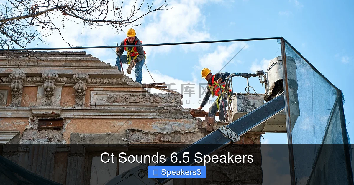Ct Sounds 6.5 Speakers