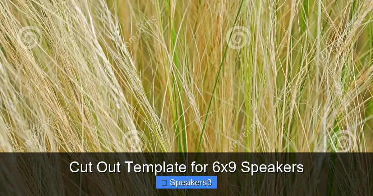Cut Out Template for 6x9 Speakers