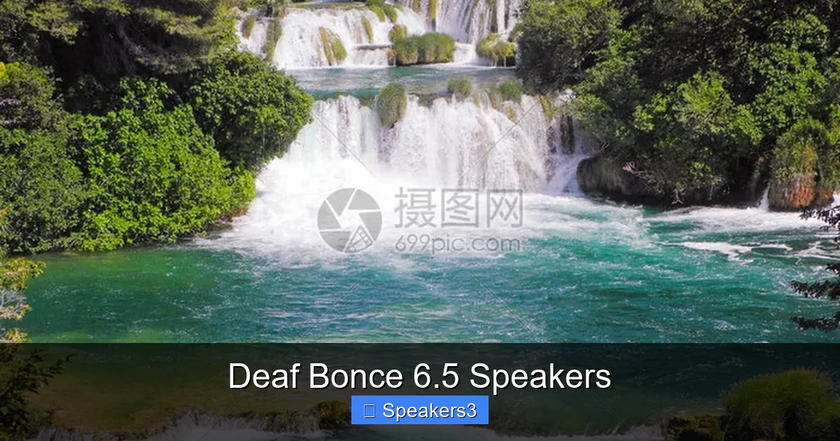 Deaf Bonce 6.5 Speakers