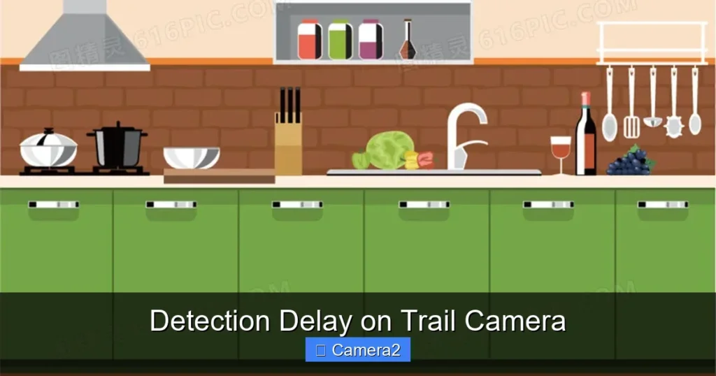 Detection Delay on Trail Camera