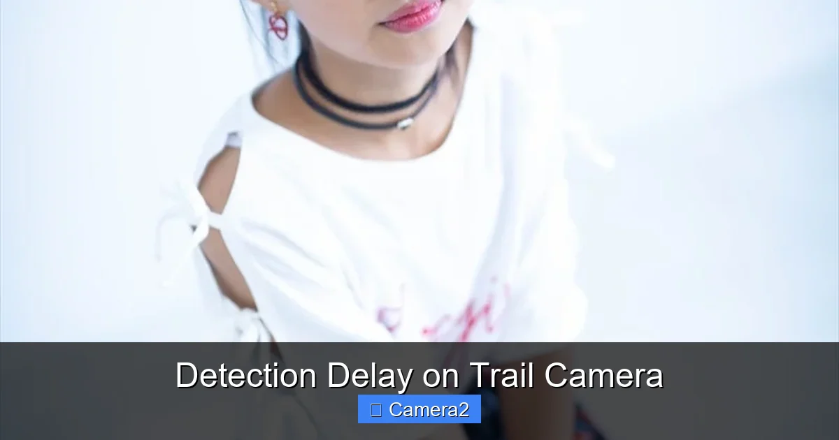 Detection Delay on Trail Camera