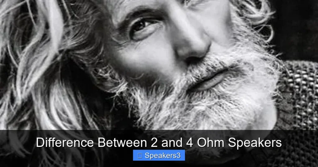 Difference Between 2 and 4 Ohm Speakers