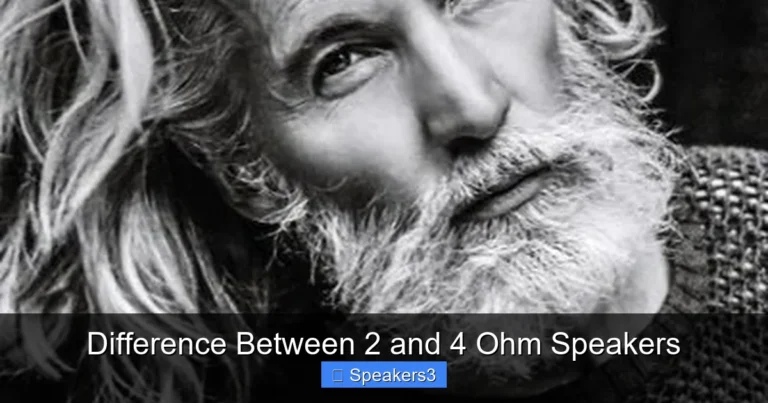 Difference Between 2 and 4 Ohm Speakers