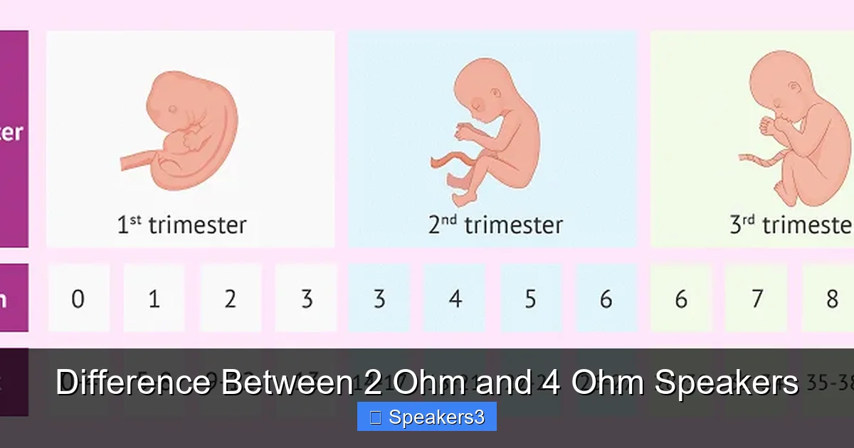 Difference Between 2 Ohm and 4 Ohm Speakers