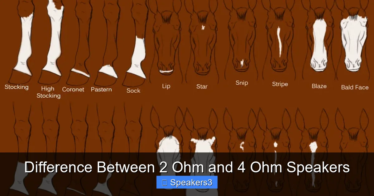 Difference Between 2 Ohm and 4 Ohm Speakers
