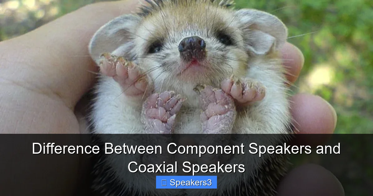Difference Between Component Speakers and Coaxial Speakers