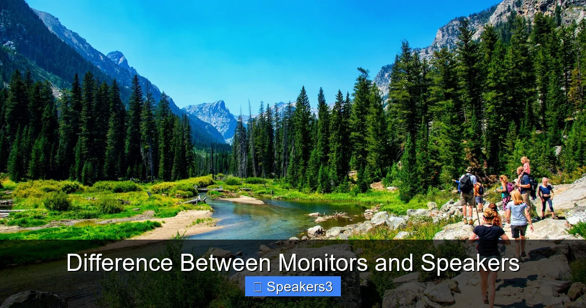 Difference Between Monitors and Speakers