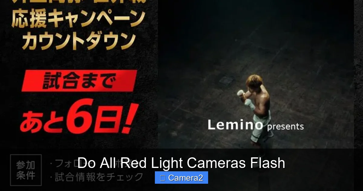 Do All Red Light Cameras Flash