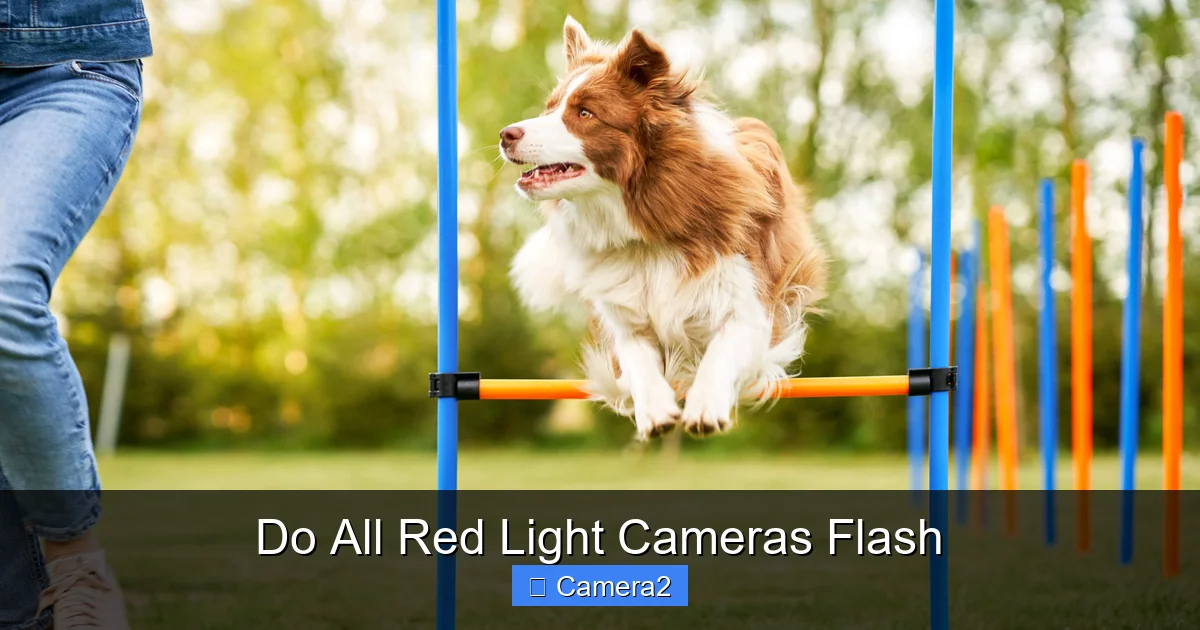 Do All Red Light Cameras Flash