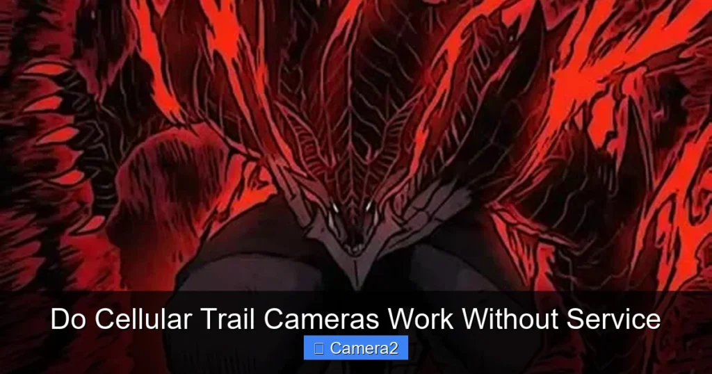 Do Cellular Trail Cameras Work Without Service