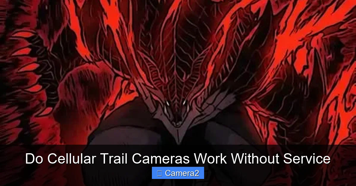 Do Cellular Trail Cameras Work Without Service