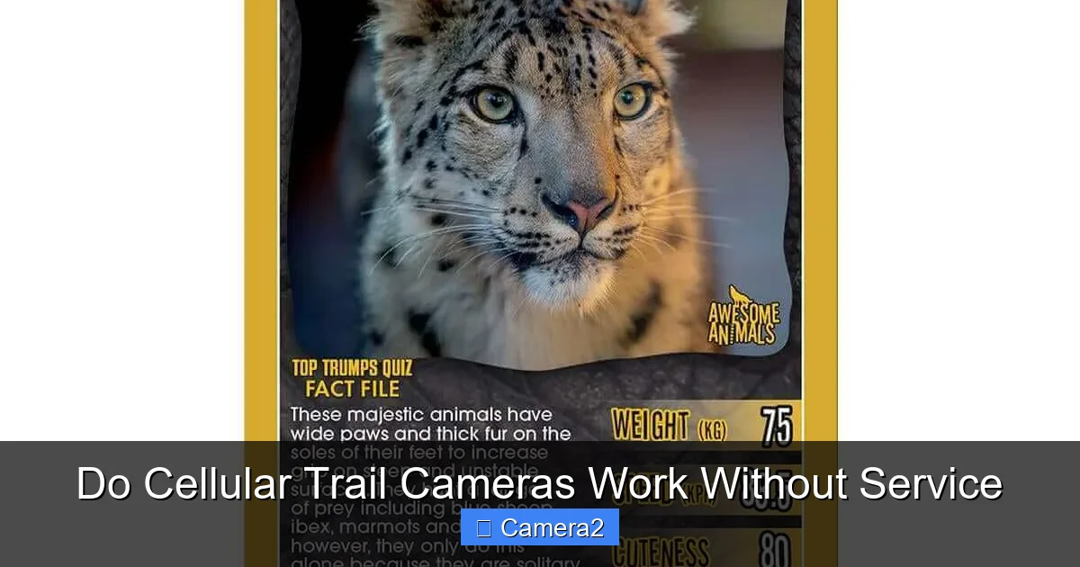 Do Cellular Trail Cameras Work Without Service