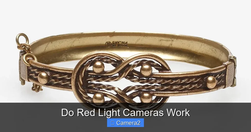 Do Red Light Cameras Work
