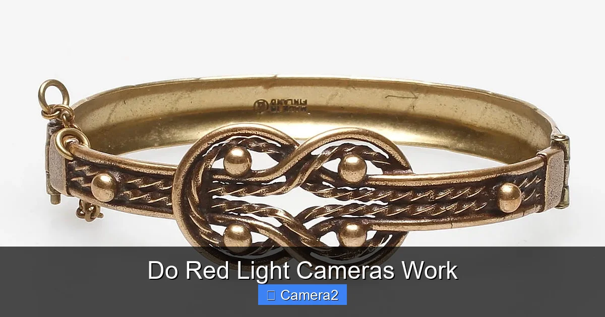 Do Red Light Cameras Work