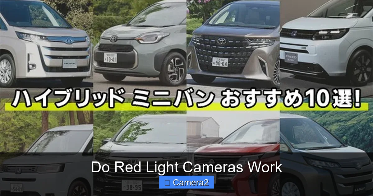 Do Red Light Cameras Work